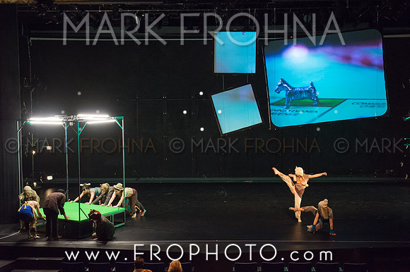UWM Winterdances 2015 Projections-17