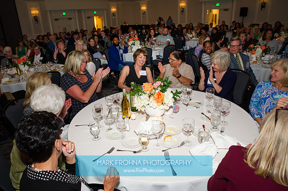 Impact100 Grant Awards Presentations 2019-042