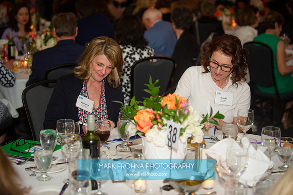 Impact100 Grant Awards Presentations 2019-034