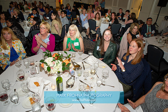 Impact100 Grant Awards Presentations 2019-041