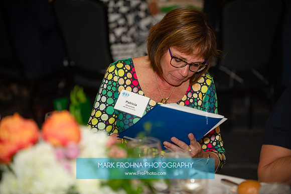Impact100 Grant Awards Presentations 2019-033