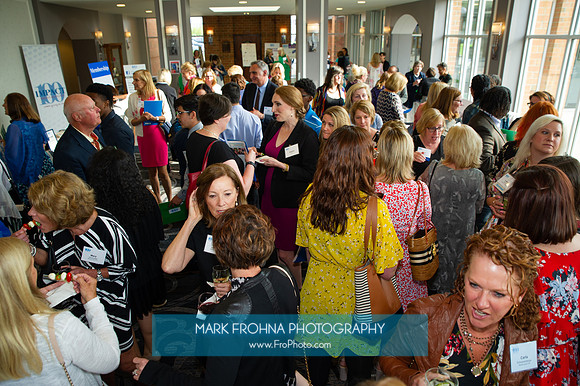 Impact100 Grant Awards Presentations 2019-127