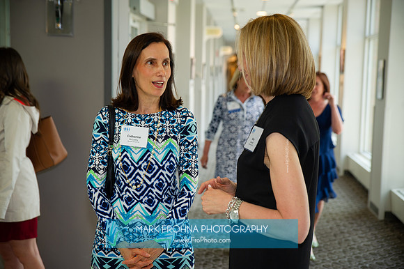 Impact100 Grant Awards Presentations 2019-090