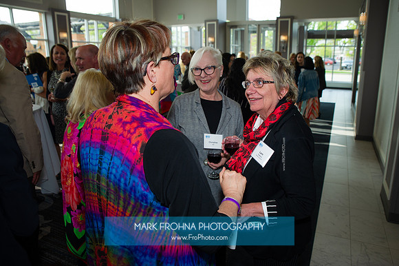 Impact100 Grant Awards Presentations 2019-133