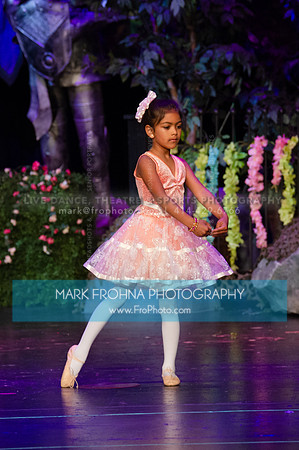 BCA Tippy 11 Sun Jun 9-053