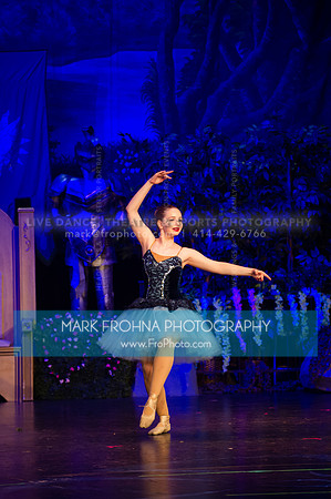 BCA Sleeping Beauty 2019-027