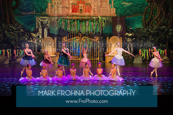 BCA Sleeping Beauty 2019-014