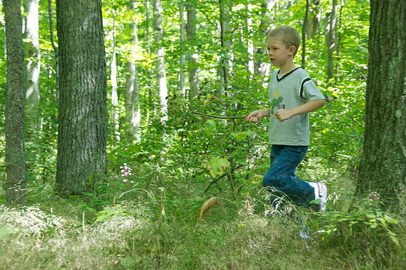 Peninsula State Park 042