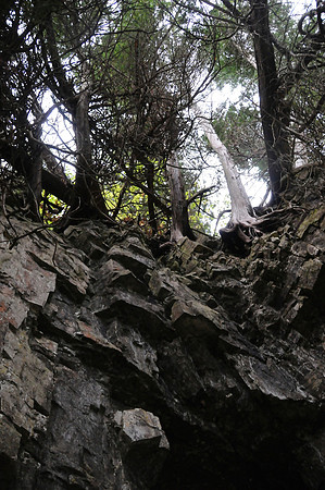 Peninsula State Park 015