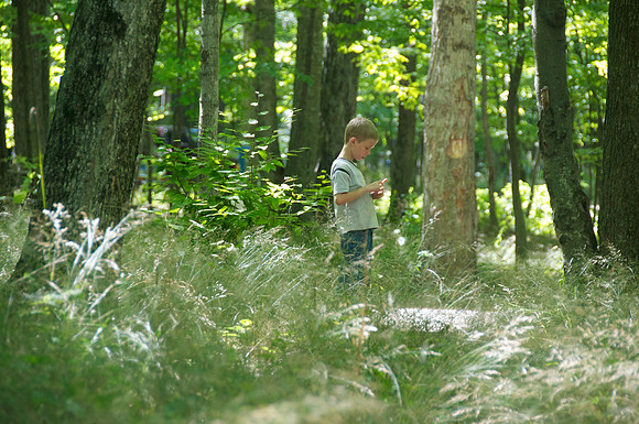 Peninsula State Park 117