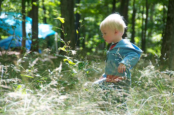 Peninsula State Park 039