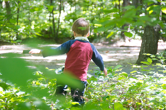 Peninsula State Park 128