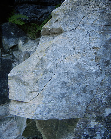 Peninsula State Park 142