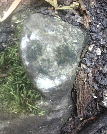 Peninsula State Park 144