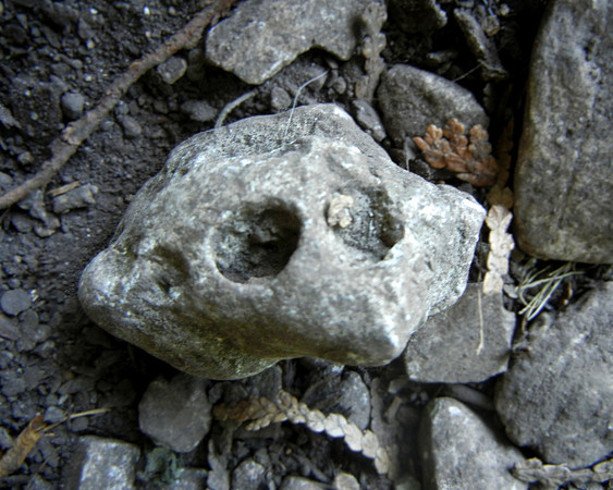 Peninsula State Park 140