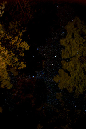 Peninsula State Park 092