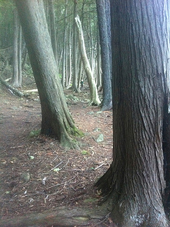 Peninsula State Park 145