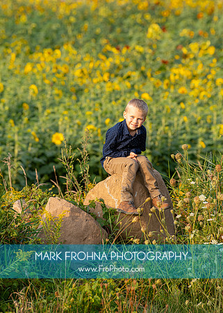 Gold Family Sunflower Farm 2023-6
