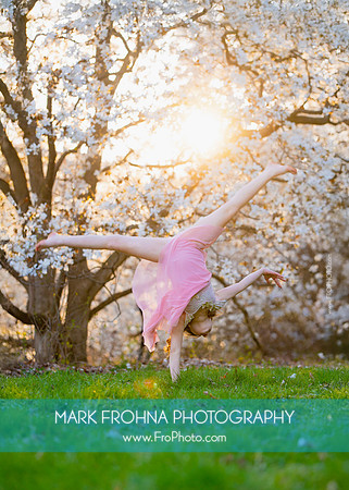 Holly Z Magnolias 2025-16