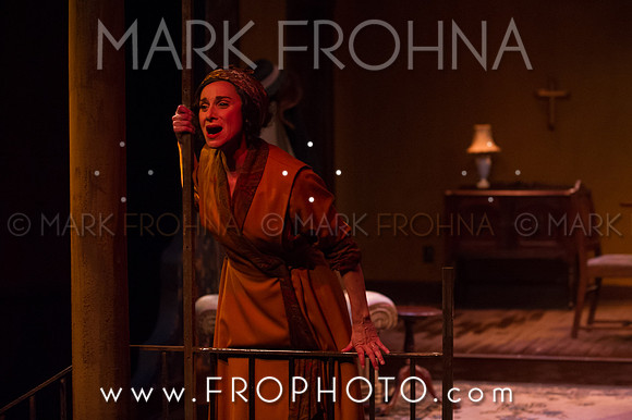 In Tandem Glass Menagerie-65