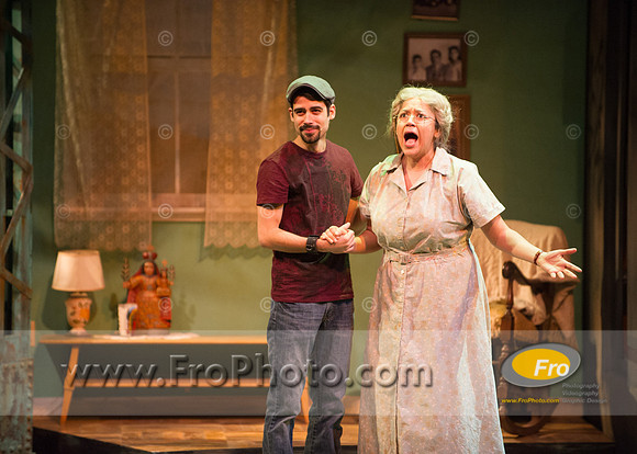 Skylight In the Heights Preview-117