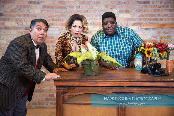 Skylight Little Shop Promos 2021-9