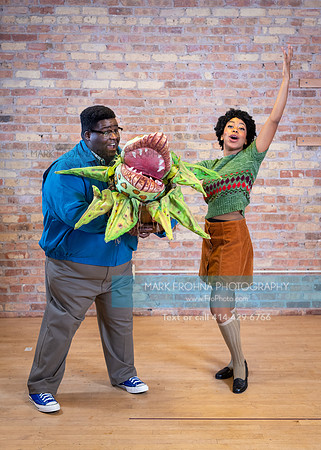 Skylight Little Shop Promos 2021-39