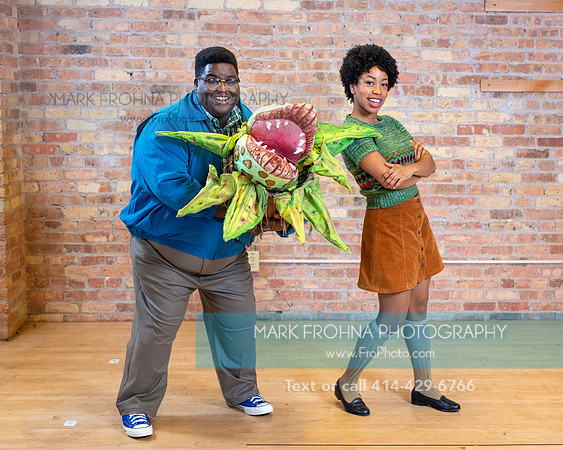 Skylight Little Shop Promos 2021-40