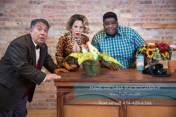 Skylight Little Shop Promos 2021-34