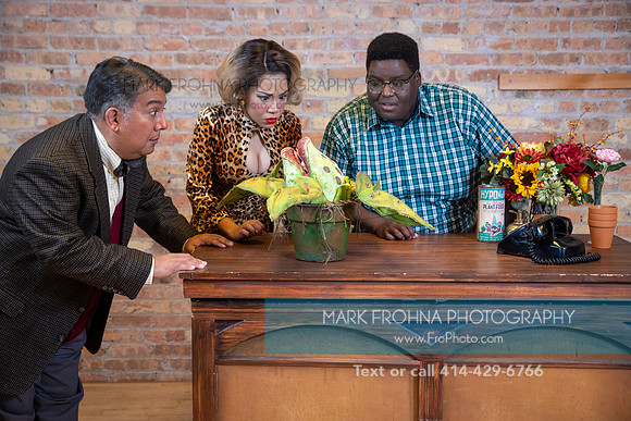 Skylight Little Shop Promos 2021-33