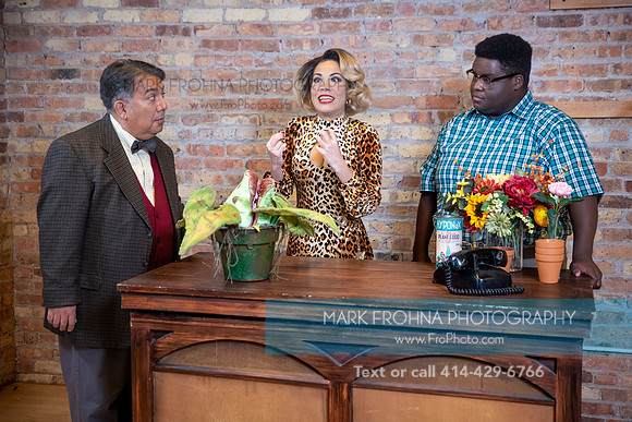 Skylight Little Shop Promos 2021-32