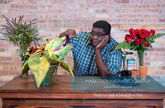 Skylight Little Shop Promos 2021-27