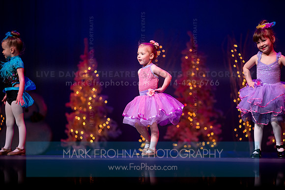 Brio Developmental Recital November 2024-199