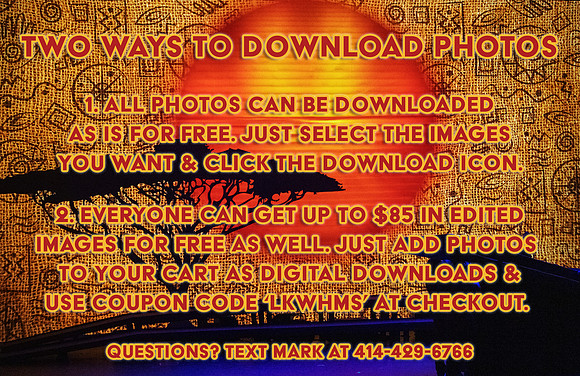 0 Lion King Downloads
