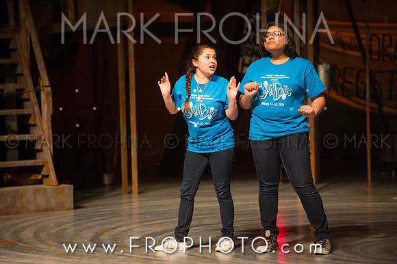 Skylight HSM 2014-100