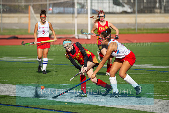 DSHA Field Hockey State Champions 2019-31