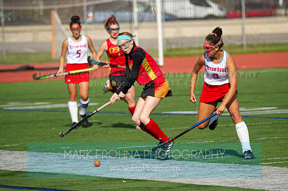 DSHA Field Hockey State Champions 2019-30