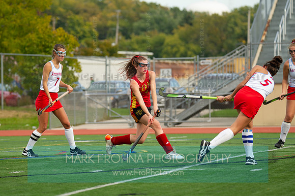 DSHA Field Hockey State Champions 2019-101