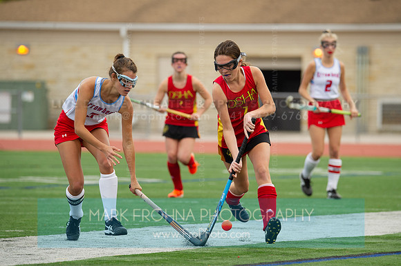 DSHA Field Hockey State Champions 2019-132