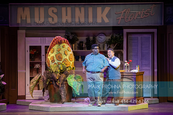 Skylight Little Shop 2021-24