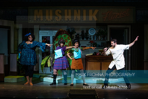 Skylight Little Shop 2021-21