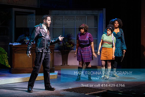 Skylight Little Shop 2021-20