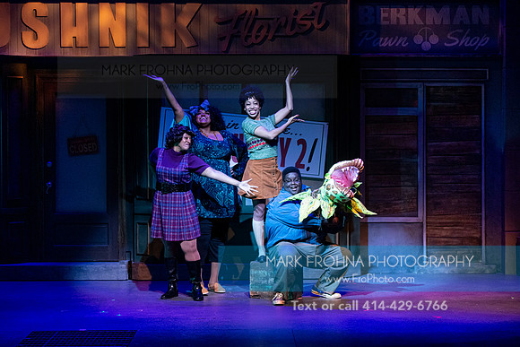 Skylight Little Shop 2021-14