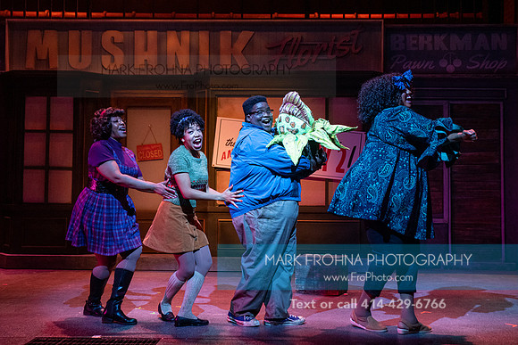 Skylight Little Shop 2021-13