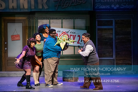 Skylight Little Shop 2021-11