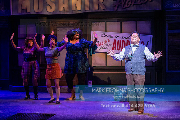 Skylight Little Shop 2021-9