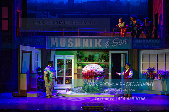 Skylight Little Shop 2021-56