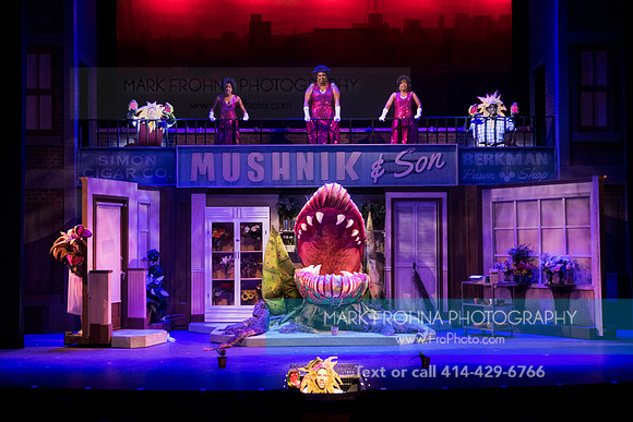 Skylight Little Shop 2021-81
