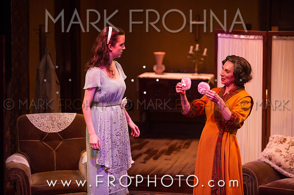 In Tandem Glass Menagerie-82