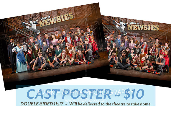 Skylight Newsies Poster